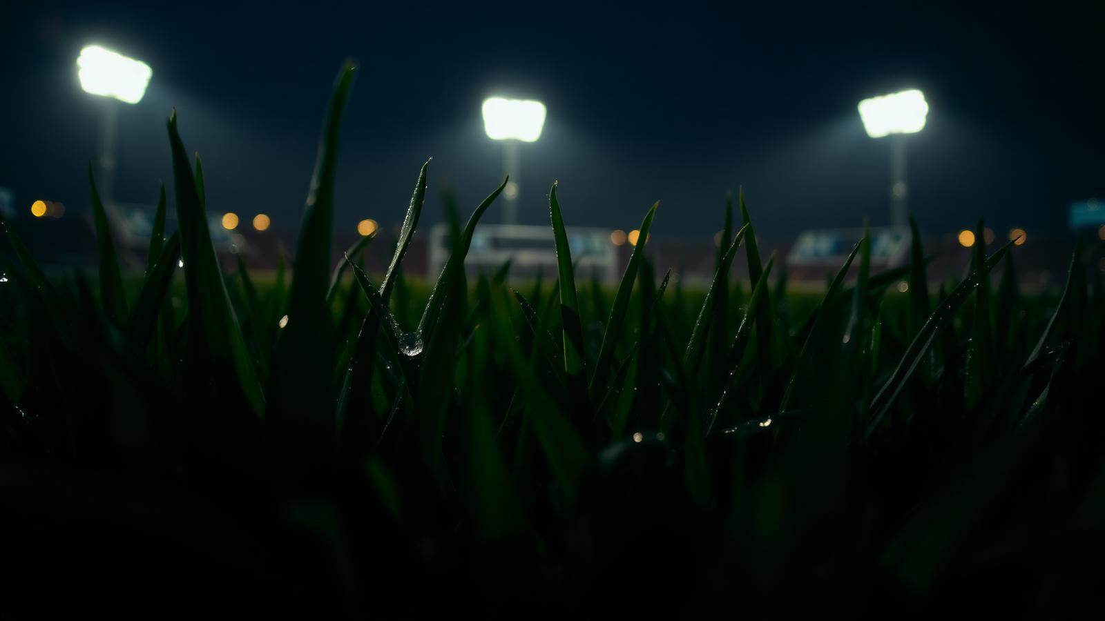 Close-up of floodlit stadium grass at night